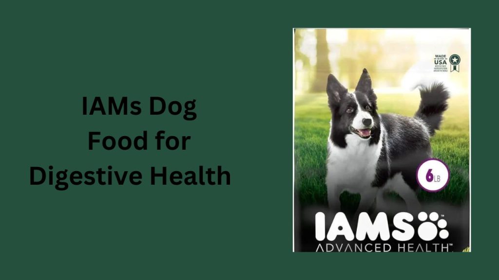 IAMs Dog Food for Digestive Health