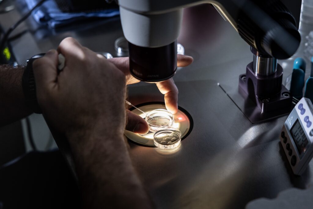California's Much-Touted IVF Law May Be Delayed Until 2026, Leaving Many in the Lurch