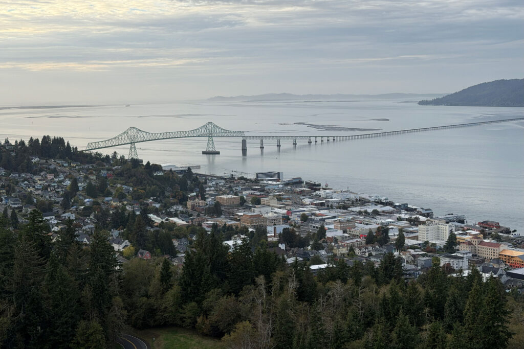 The view from a nearby hill of a city at the edge of a river and a bridge spanning that river.